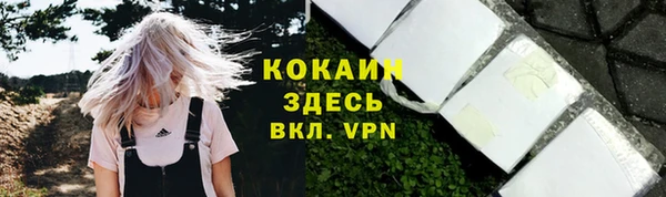 ECSTASY Белокуриха