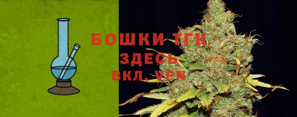 ECSTASY Белокуриха