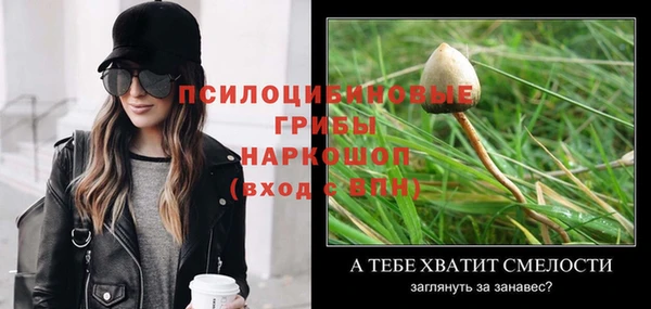 ECSTASY Белокуриха