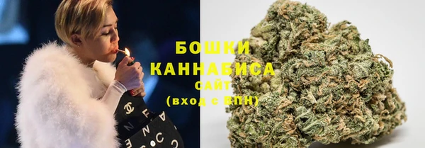 ECSTASY Белокуриха